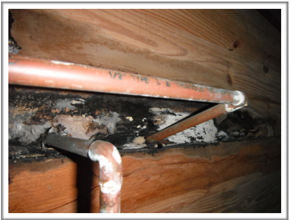 Check around pipes in crawlspace or basement for potential leaks